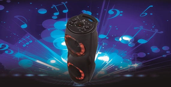 Portable Speaker